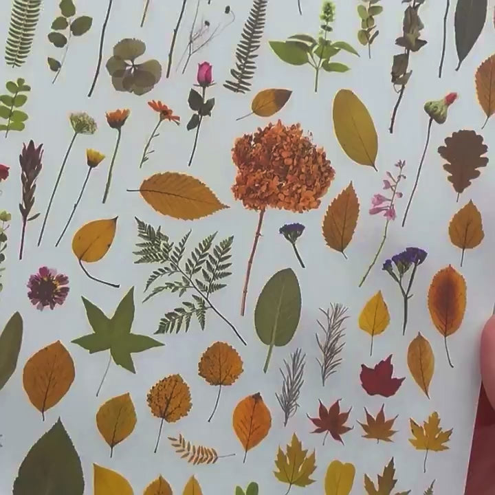 Vintage Dried Flower Rub-On Stickers – Nature-Inspired Transfers for Planners & Crafts