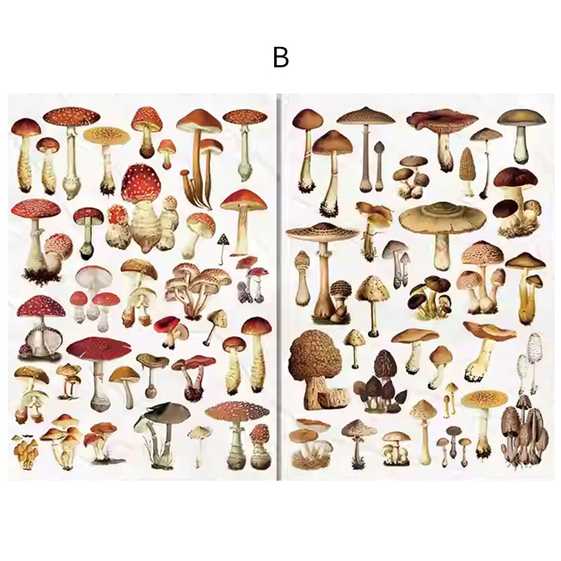 Autocollants à transférer – Esthétique champignon