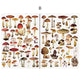 Mushroom Aesthetic Rub-on Stickers