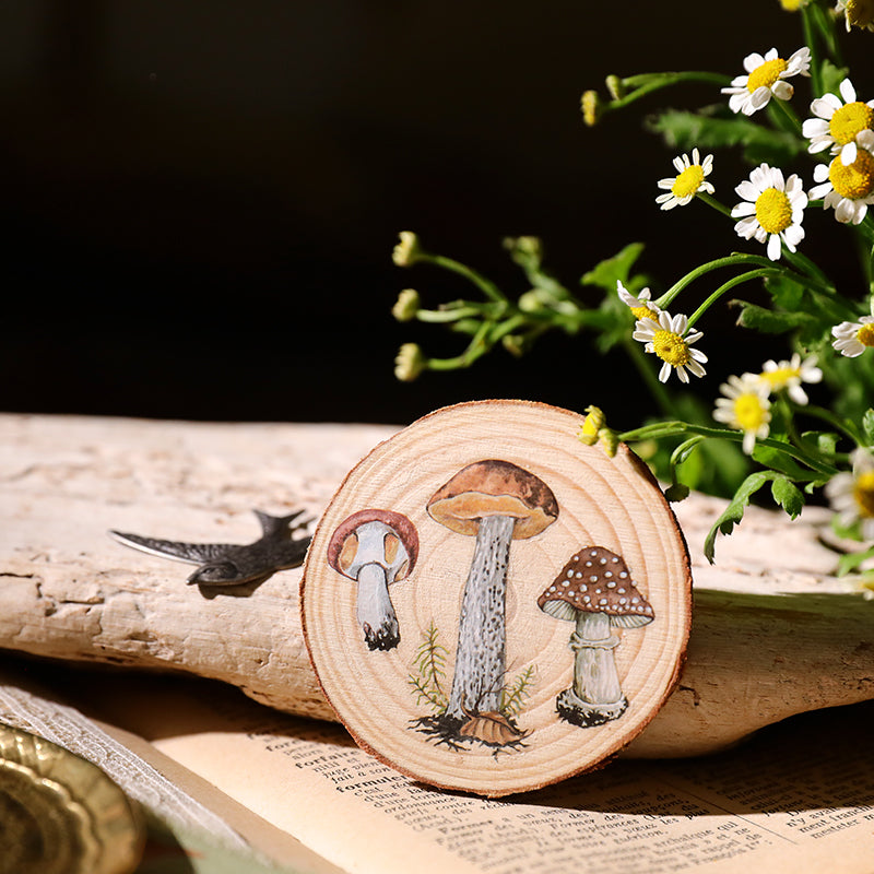 Autocollants à transférer – Esthétique champignon