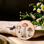 Abreibebilder – Pilz-Ästhetik