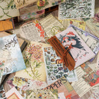 Le Livre de Papiers Scrapbooking Série The Story Of Lacey