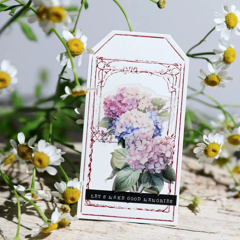 Vellum Floral Stickers – Botanical Sticker Pack Iris, Peony