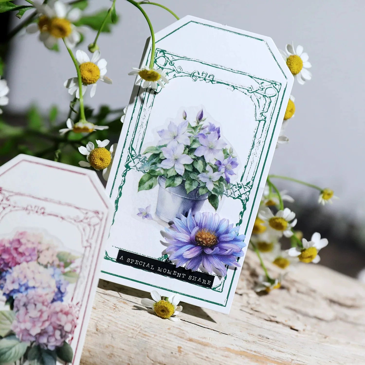 Vellum Floral Stickers – Botanical Sticker Pack Iris, Peony