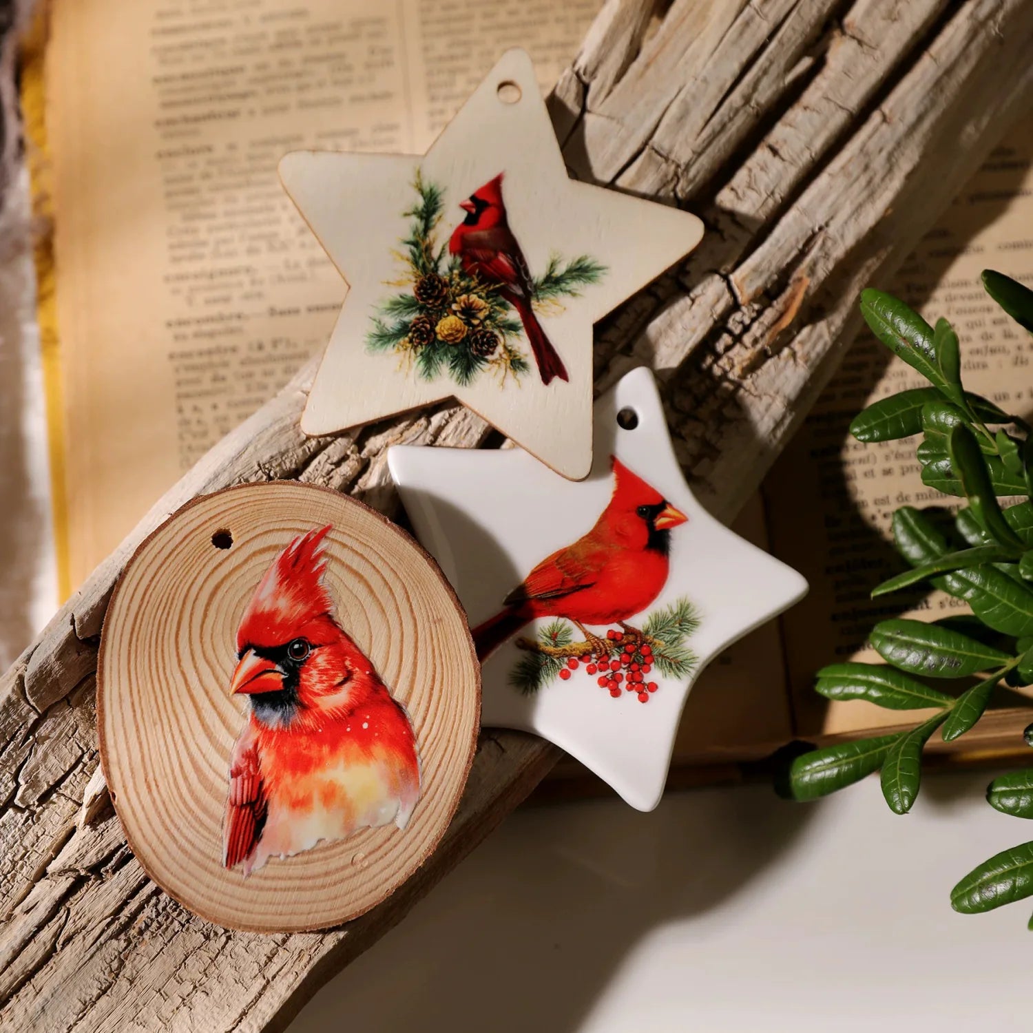 Vintage Aesthetic Bird Transfer Stickers