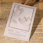 Vintage Botanische Line Art Rub-on Sticker