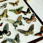 Vintage Schmetterling Pergament-Aufkleber