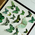 Vintage Schmetterling Pergament-Aufkleber