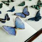Vintage Schmetterling Pergament-Aufkleber