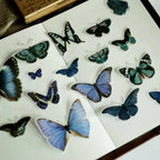 Vintage Schmetterling Pergament-Aufkleber