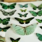 Vintage Schmetterling Pergament-Aufkleber