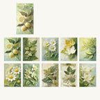 Papier de scrapbooking gaufré floral vintage | Pack d'éphémères
