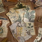 Ensemble de papiers vintage pour scrapbooking | Papiers de scrapbooking nature avec fruits et forêt