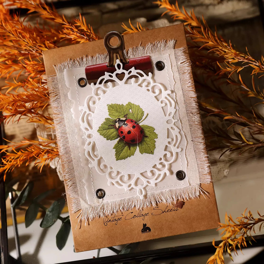 Autocollants printaniers vintage à frotter | Colibri, coccinelle et fleurs